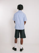 Blue Stripe Button Up